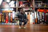 Jessers review photo