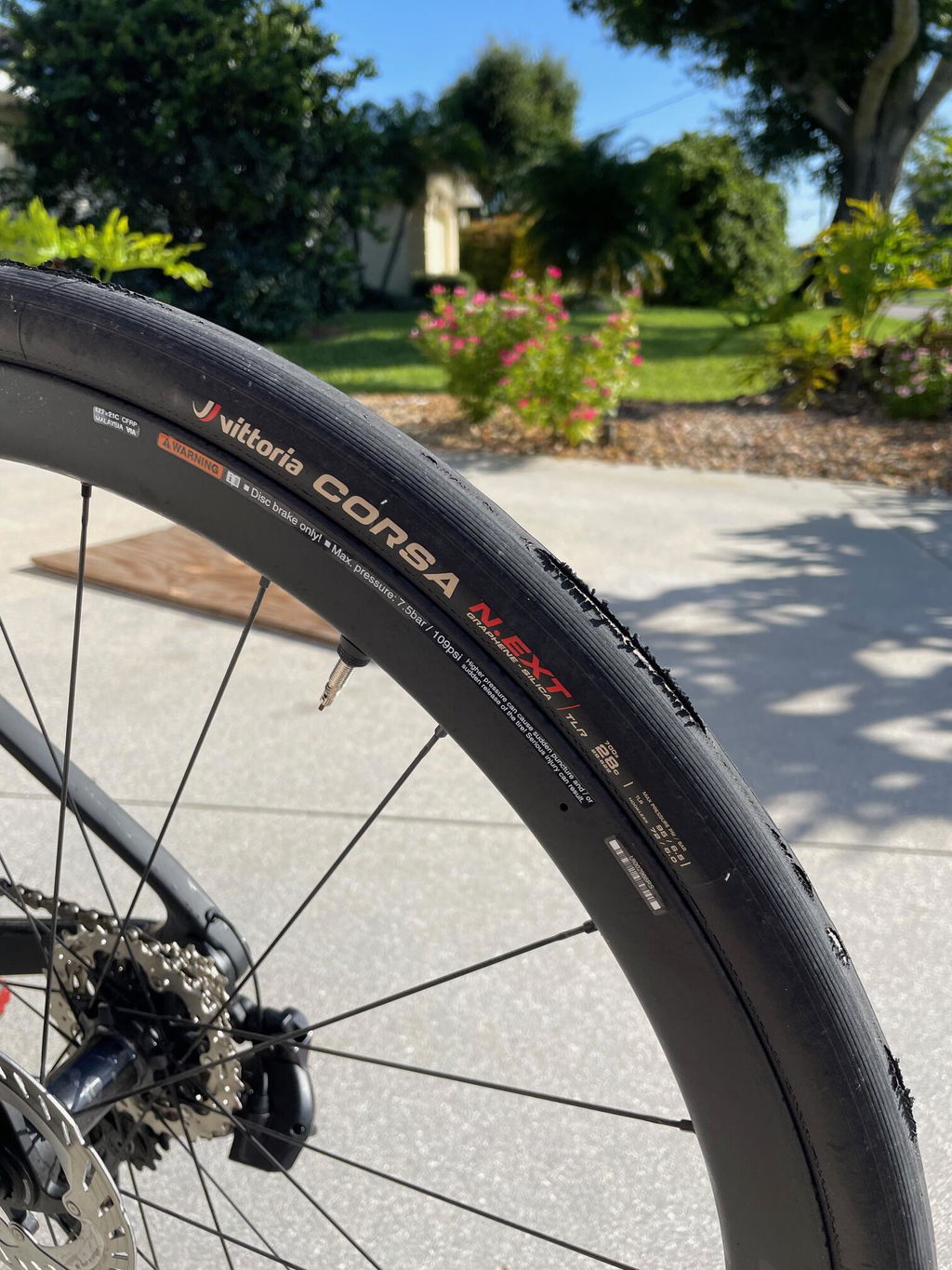 Corsa N.Ext Tubeless-Ready - Road Competition Tires | Vittoria