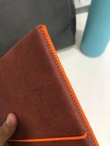 Sanya D’souza review photo