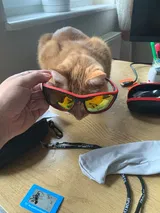 O***i review photo