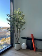 Amazon Customer review photo