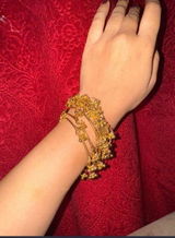 Nazish Shaikh review photo