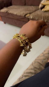 Manasa Narayan review photo