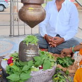 Amol review photo