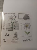 VACHER review photo