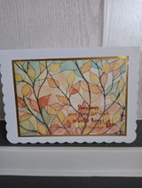 Rachel Taylor review photo