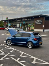 Coalan Fry review photo