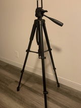 Celine J. review photo