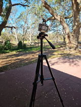 Mark S. review photo