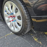 DL review photo