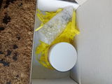 Ali review photo
