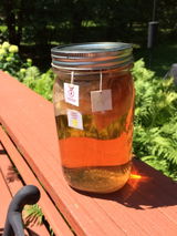 Winnie Severson review photo