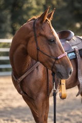 gaia.western review photo