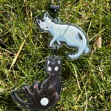 fishiiarts review photo