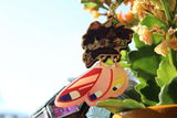 zoe s. review photo