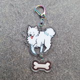 FinWolf 0. review photo