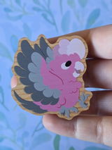 Bianca S. review photo