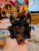 Caution Cat review photo