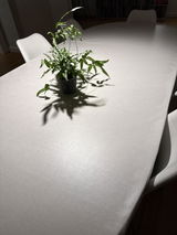 Rikke Lilhauge review photo