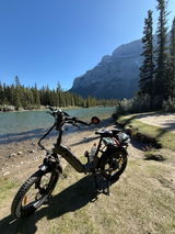 ROBERT KRYSAK review photo