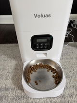 amshonky review photo