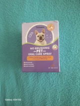 Casey H. review photo