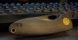 Gustavo review photo