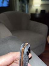 Anonymous review photo