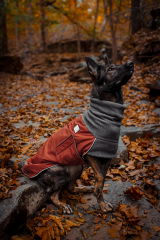 Bella review photo