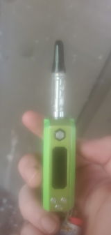 Solomon Sasscer review photo