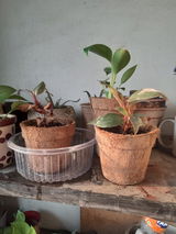 Anshu Gupta review photo