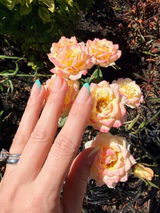 Irina Martin review photo