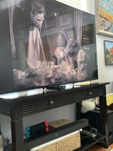 Vince Sakovich review photo