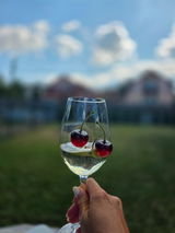 Panterа review photo