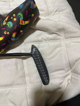 Darcy Fimmano review photo