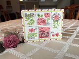Barb M. review photo