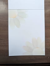 t.p. review photo