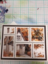 Donna T. review photo