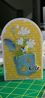 Iris review photo