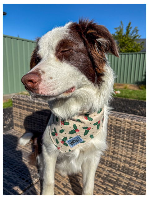 Christmas 3-Snap Bandana