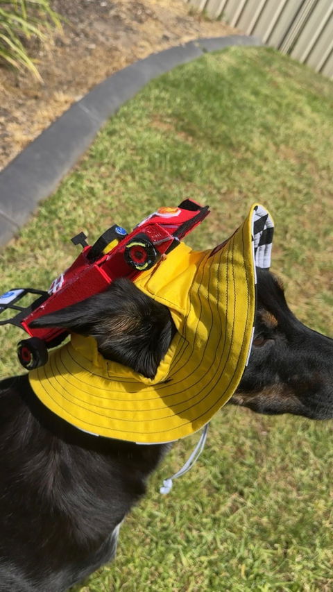 Barket Hats