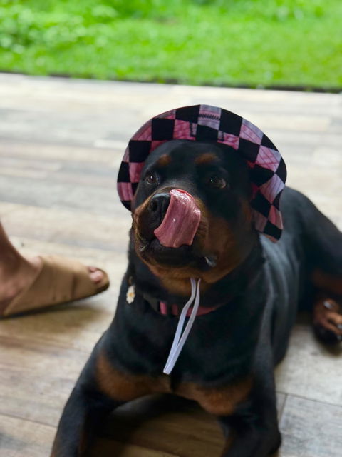 Barket Hats