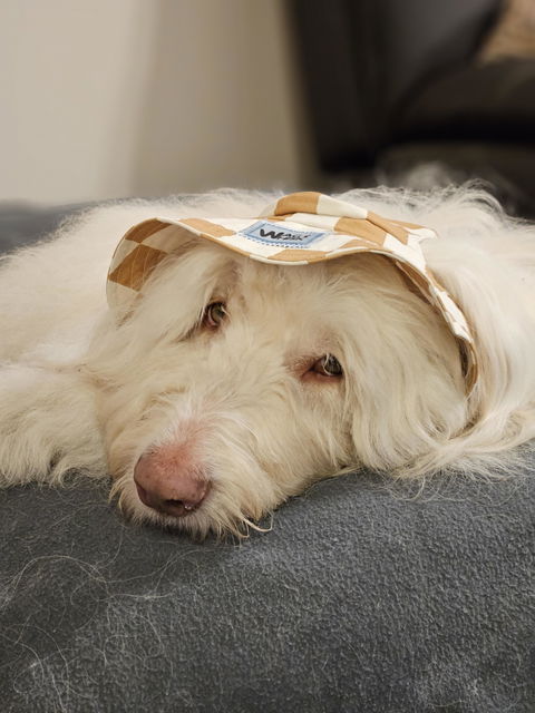 Barket Hats