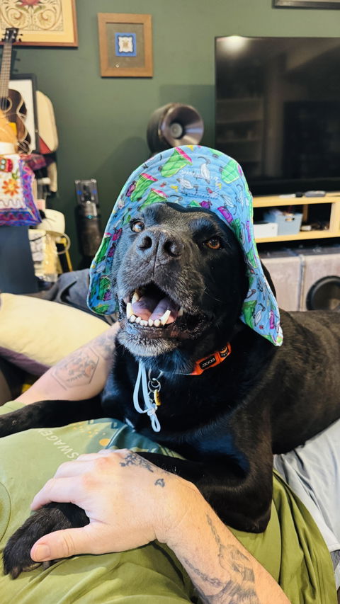 Barket Hats