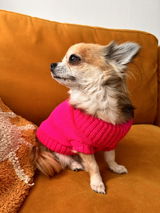 Lucy review photo
