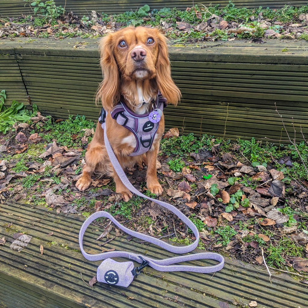 Control Dog Harness - Purple Herringbone