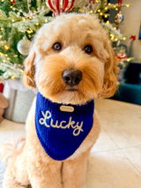 Sanela & Lucky review photo