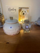 Litzy review photo