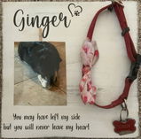 Margret review photo