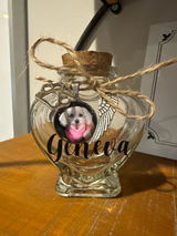 Vincenza review photo